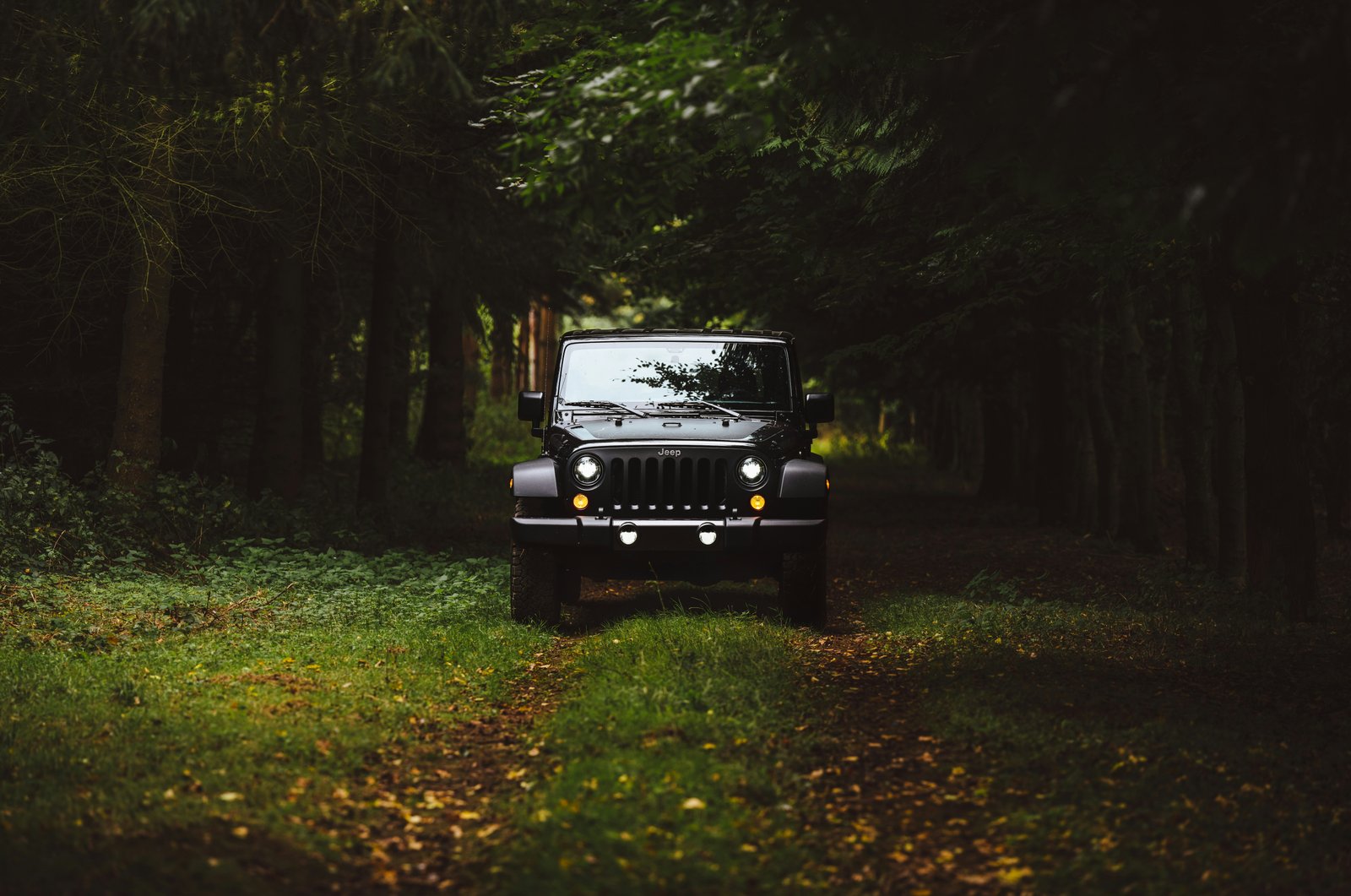 Full Day Wilpattu Jeep Safari